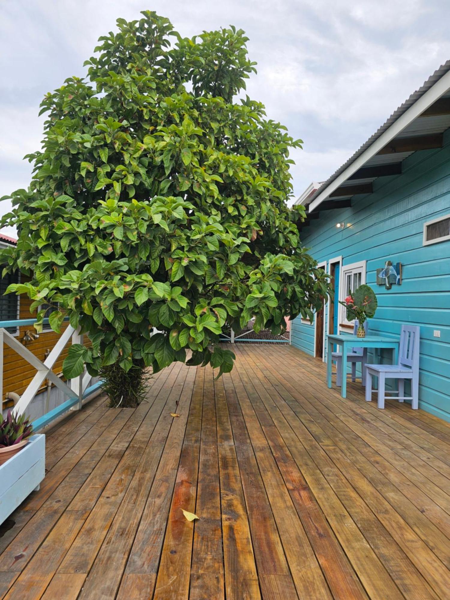 Casa Pelicano ボカス・タウン エクステリア 写真